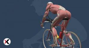 How-to-Avoid-Neck-Pain-Cycling