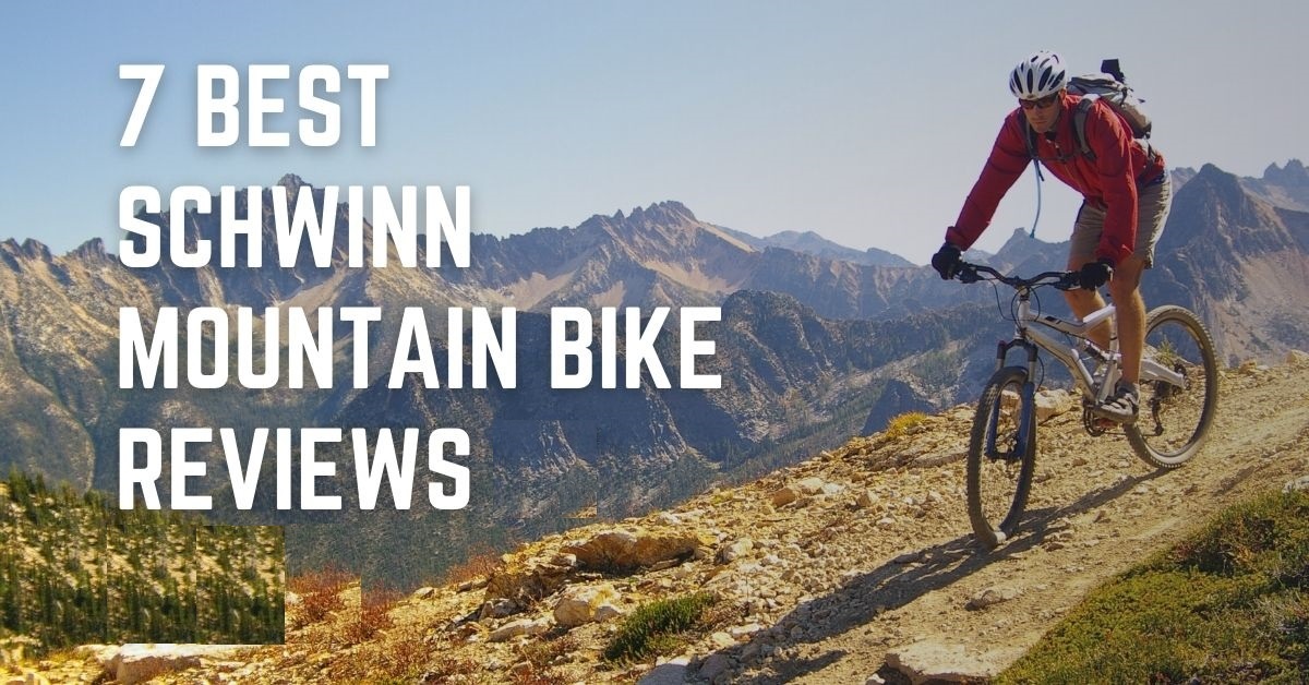 Best Schwinn Bikes of 2024 Top Picks for Every Cyclist