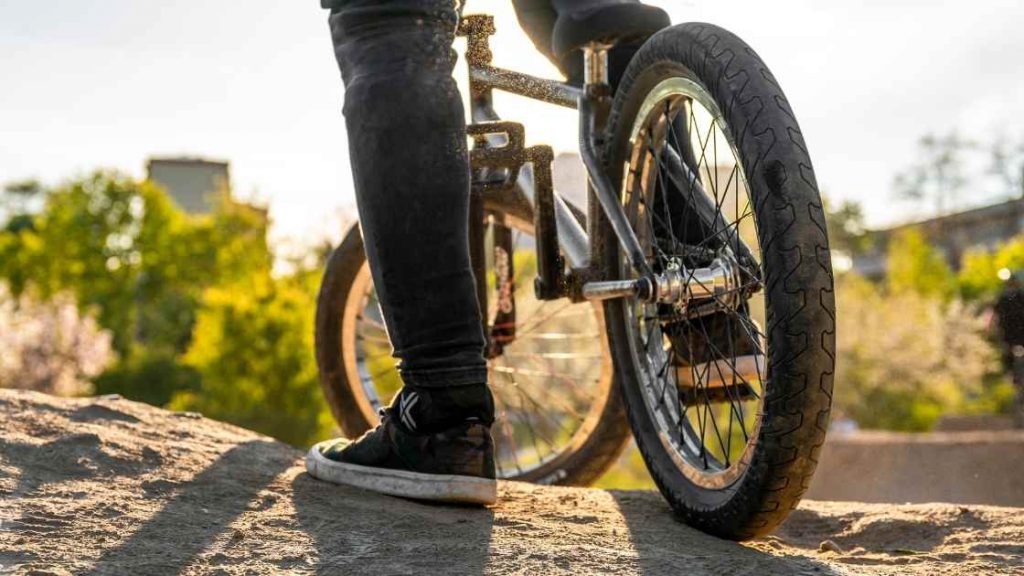 How Much Does a BMX Bike cost: Choose The Right Size BMX BIKE!