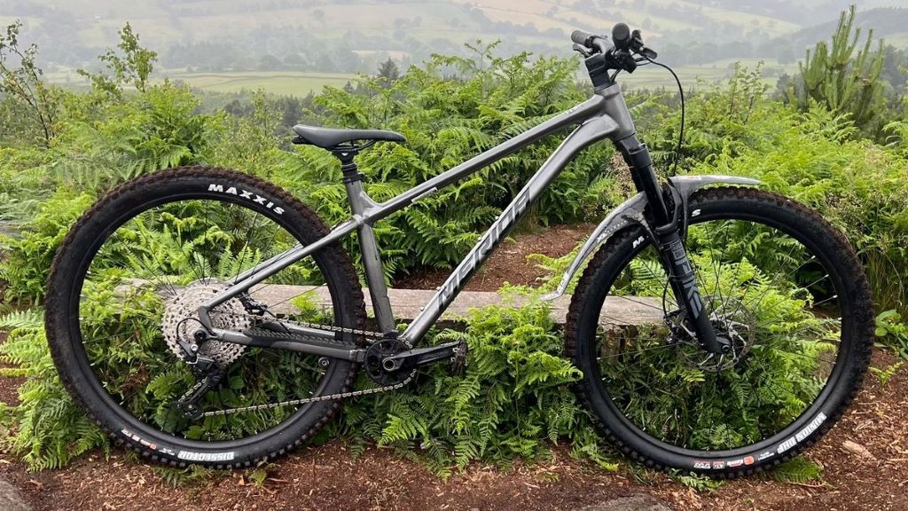 Best mountain bike under $200 guide for beginners