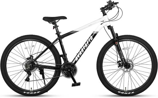 AVASTA Earth bike parked on paved road