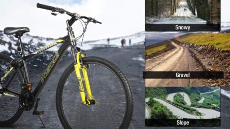 WEIZE Hardtail Mountain Bike 29 Inch Wheels Review