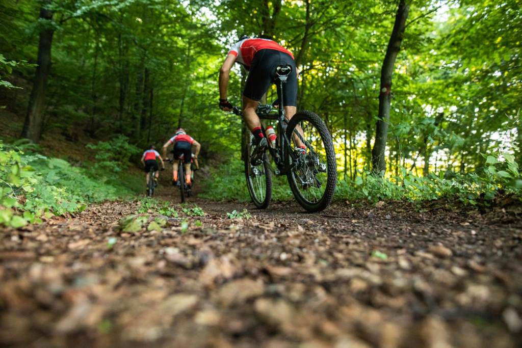 Mountain biking