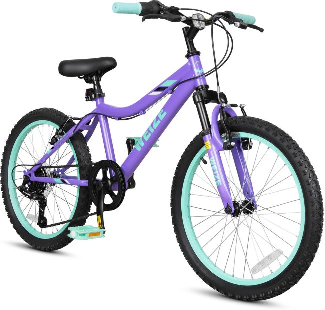 WEIZE 20/24-inch kids mountain bike with front suspension, 6-speed drivetrain, and purple high-carbon steel frame