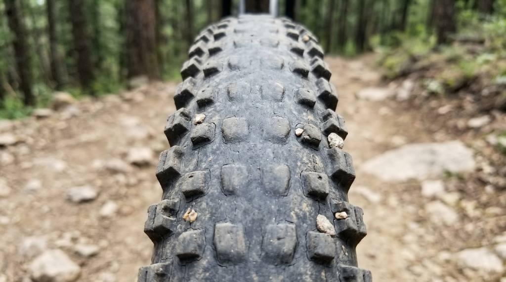 Mountain bike tire inspection showing damaged tread
